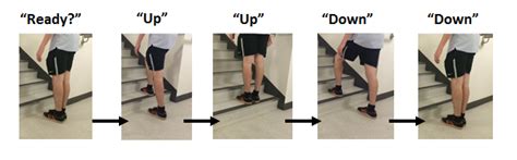 step drop test|step test results chart.